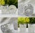 French 1880s French Crystal Shot Glasses - Pair For Sale - Image 3 of 9