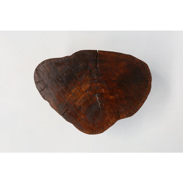 Rustic Low Wooden Tripod Tree Trunk Side Table, 1890s For Sale - Image 5 of 10
