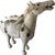 Chinese Mid 20th Century Chinese Tang Dynasty-Style Horse Statues For Sale - Image 3 of 3