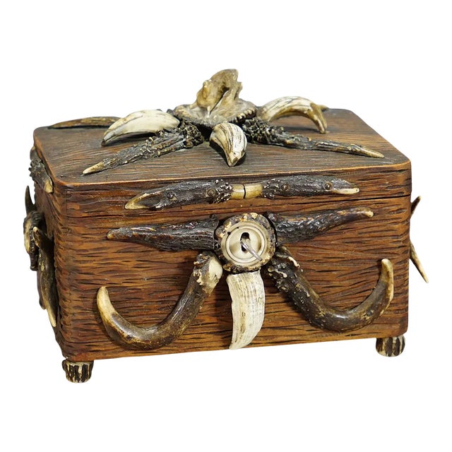 Wooden Black Forest Casket With Antlers Decoration Circa 1900s For Sale