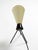 Mid-Century Modern Tripod Table Lamp by Josef Hurka for Napako, 1950s For Sale - Image 16 of 18