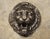 Circa 1920s French Cast Iron Lion Fountain Feature, Spout For Sale - Image 11 of 13