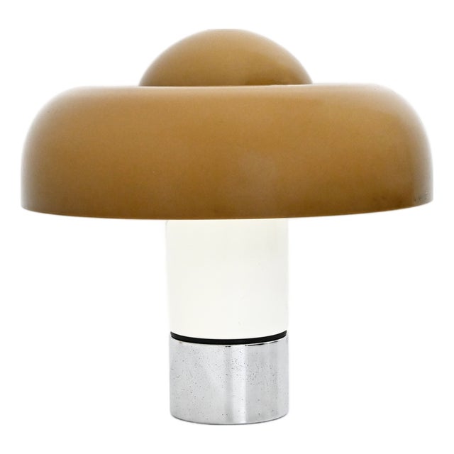 Brumbury Table Lamp by Luigi Massoni for Guzzini, 1970s For Sale
