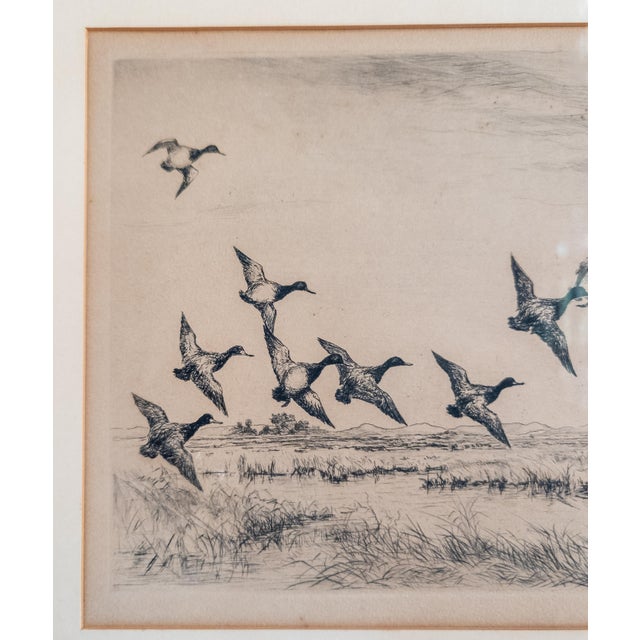 Antique White Early 20th Century Drypoint Etching Print of "Little Blue Bills" by Roland Clark For Sale - Image 8 of 13