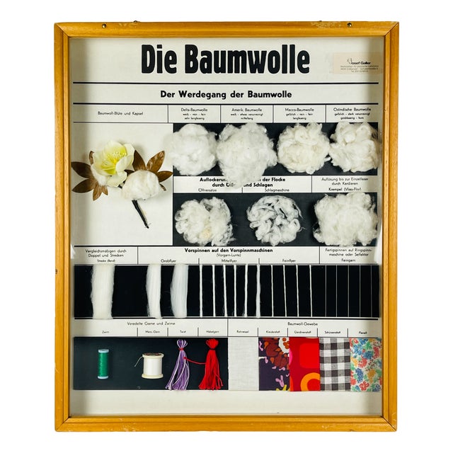 Vintage School Education Display Die Baumwolle (Cotton) by Josef Galler, Germany, 1960s For Sale