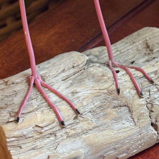 American 1980's American Oystercatcher Shore Bird Wood Carving Statue Figurine For Sale - Image 3 of 12