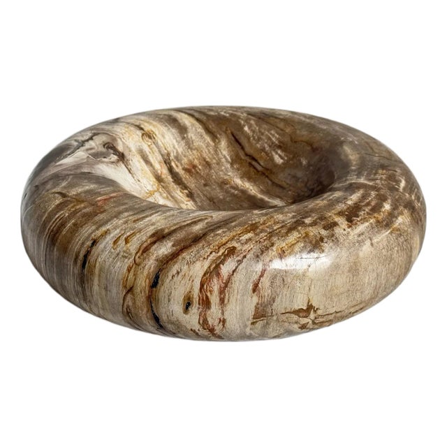 Organic Modern Vintage Petrified Wood Decorative Bowl For Sale