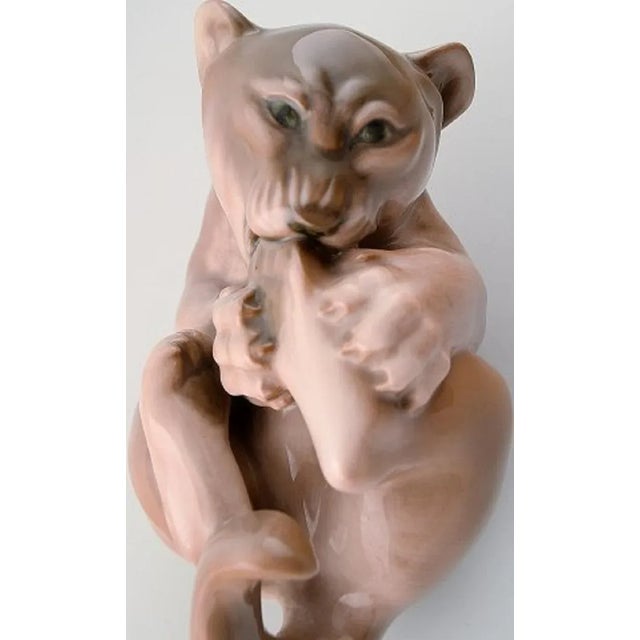 Porcelain Lion Cub from Royal Copenhagen, 2000s For Sale - Image 3 of 5