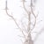 Late 20th Century Pair of Mid-Century Faux Coral Wall Sconces For Sale - Image 5 of 8