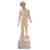 Paint Large 19th Century Plaster Sculpture of a Greek Figure, 1890s For Sale - Image 7 of 7