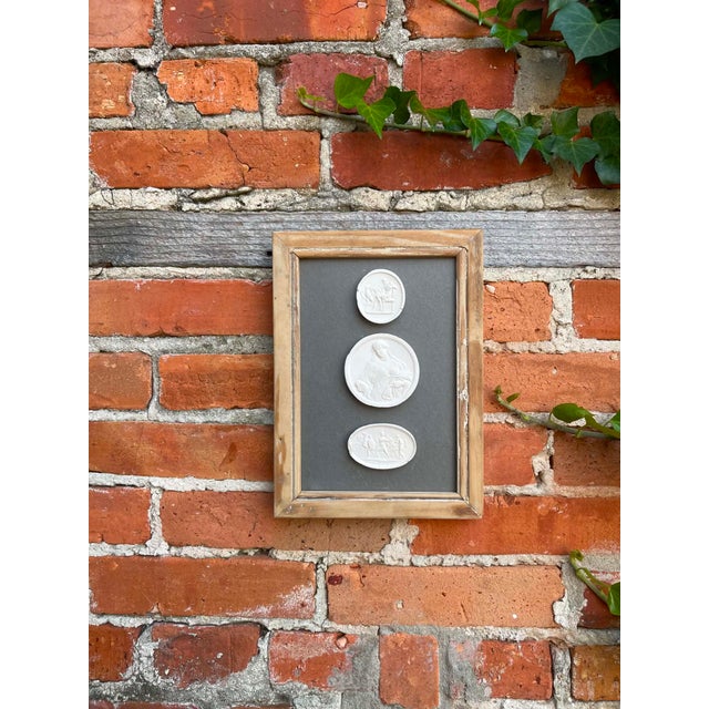 Late 19th Century Italian Plaster Intaglios in 1880s Pine Frame For Sale - Image 5 of 5
