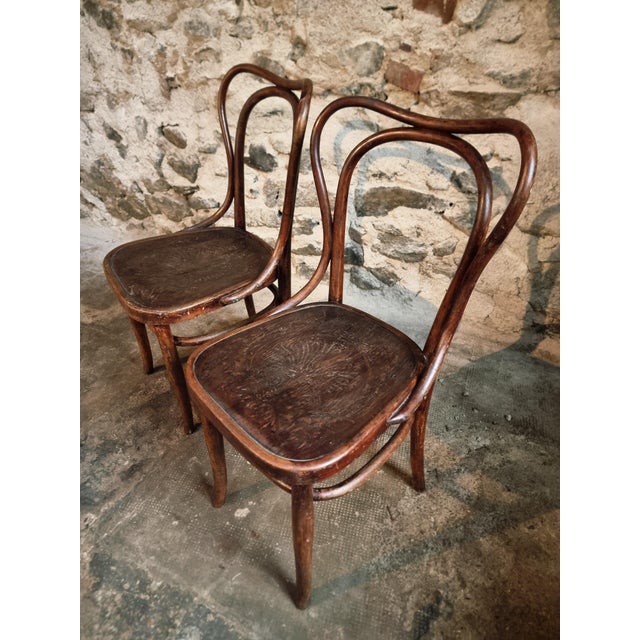 Bentwood Café Chairs from Jacob & Josef Kohn, Vienna, Austria, 1900s, Set of 2 For Sale - Image 5 of 15