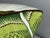 Textile Celerie Kemble for Schumacher Hothouse Flowers Pillows, Pair For Sale - Image 7 of 12