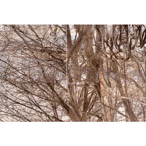 Brown Esteban Chavez Allee Alley of Trees Signed Hand Colored Lithograph on Paper For Sale - Image 8 of 12