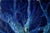 Renato Criscuolo, Blue Tree, 2008, Oil on Canvas For Sale - Image 7 of 11