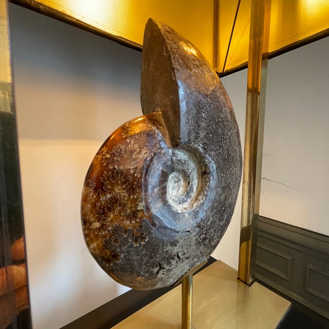 Hollywood Regency Vintage Hollywood Regency Ammonite Lamp in Gilded Brass and Black Lacquered Wood from Maison Jansen, 1970 For Sale - Image 3 of 18