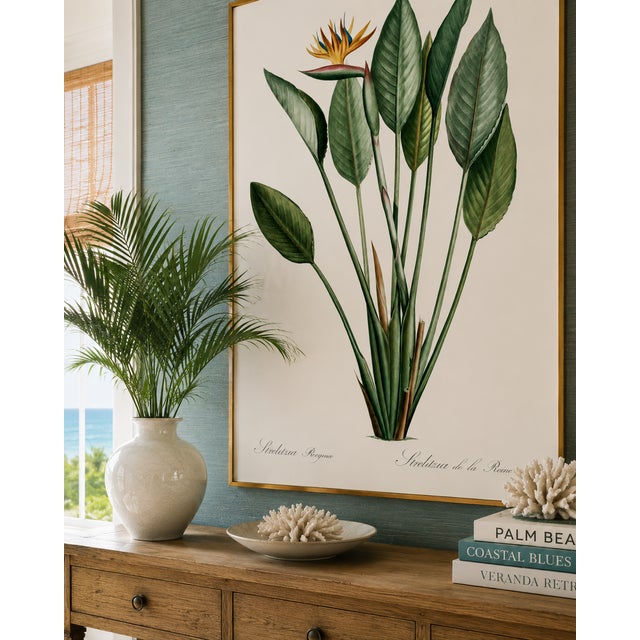 Bird of Paradise Illustration, Vintage Botanical Art Print Reproduction, 16" X 24" For Sale In Buffalo - Image 6 of 12