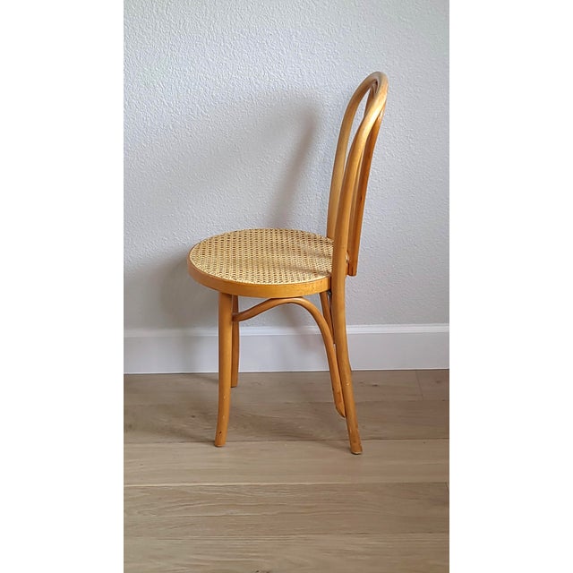 enthousiasme trechter Marxistisch Vintage Thonet Sweetheart Bentwood Caned Bistro Chair #16 | Chairish