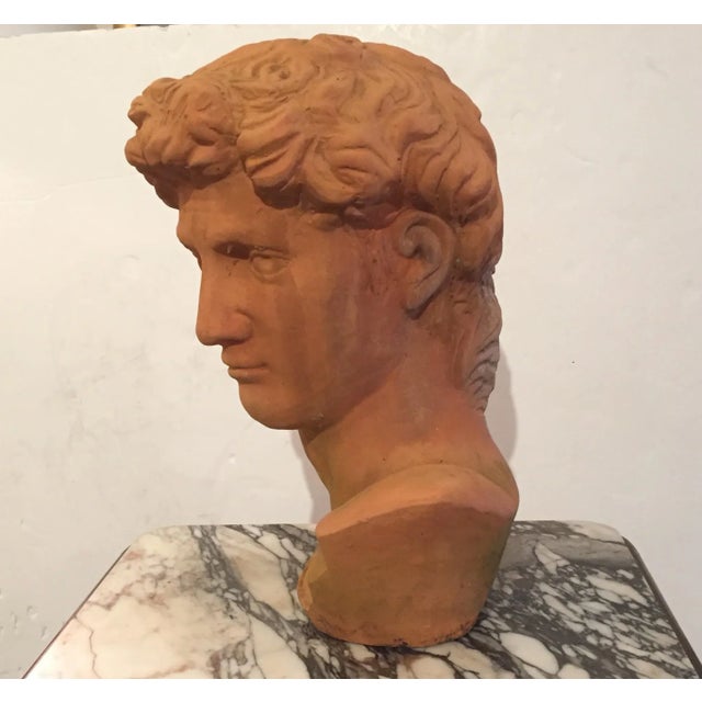 1950s Classic Italian Terracotta Bust of David For Sale - Image 5 of 7