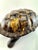 Vintage Mid Century Gilt-Finish Tortoise Sculpture, Hollywood Regency Style Decorative Object For Sale - Image 13 of 15