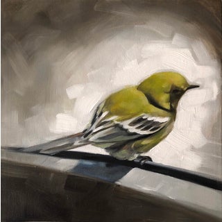 Bird Rest by Barbara Hack | Oil on canvas panel Yellow bird perched on a branch. For Sale