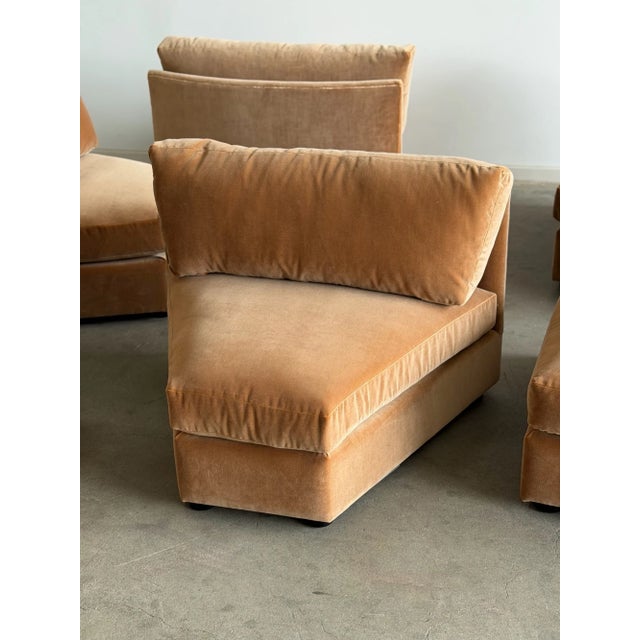 2020s The Curved Perennial For Sale - Image 5 of 18