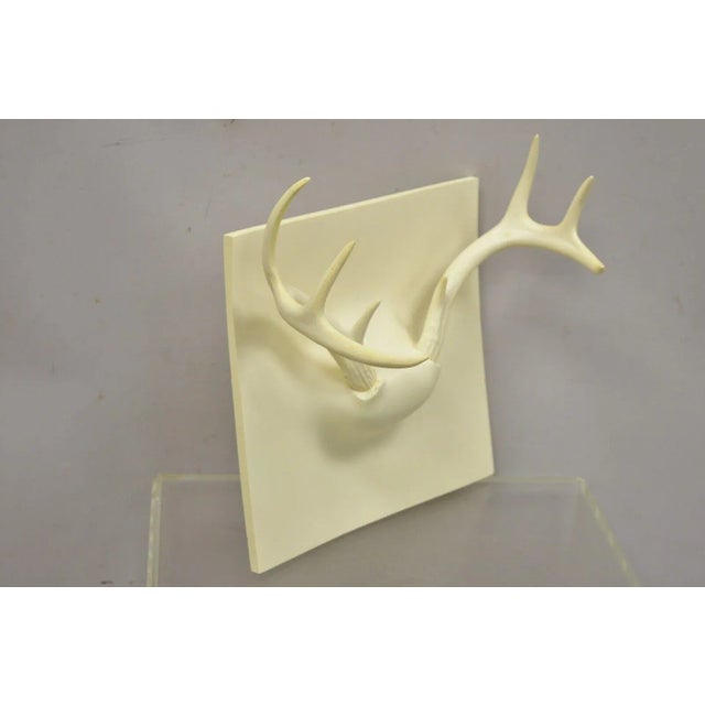 Mid-Century Modern Early 21st Century Erich Ginder White Cast Ghost Antler Coat Rack Wall Art For Sale - Image 3 of 11