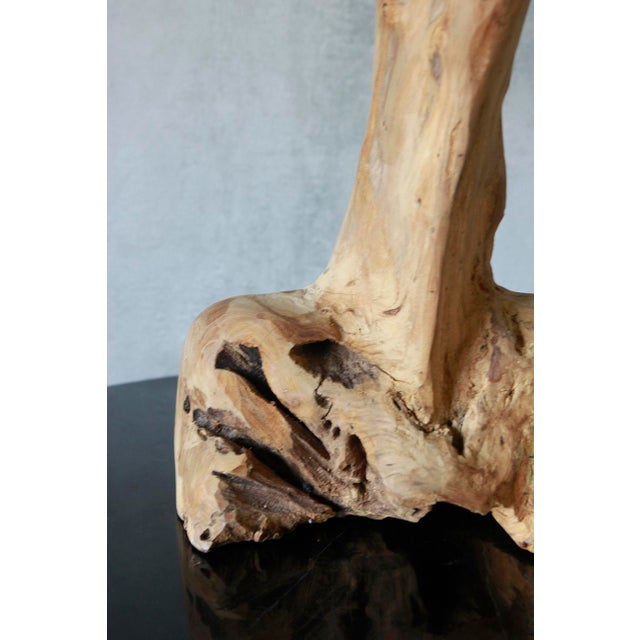 Late 20th Century Late 20th Century Natural Tree Stump Side Table Made From Solid Cedar Roots. For Sale - Image 5 of 7