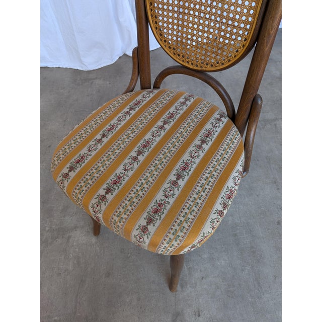 Mid-Century Modern Vintage Bentwood Chair in Fabric and Cane Backrest, Yugoslavia, 1970s For Sale - Image 3 of 18