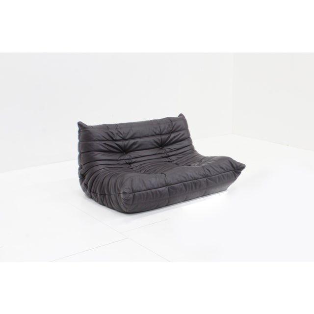 Togo Sofa in Brown Leather by Michel Ducaroy for Ligne Roset, 2010 For Sale - Image 11 of 11