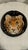 Vintage Palm Beach Regency Italian Tiger Face Pottery Ashtray Catchall For Sale In Mobile - Image 6 of 11