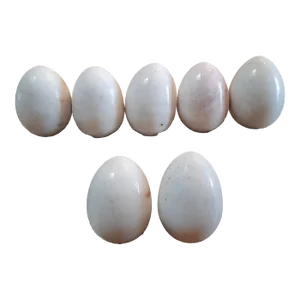 XL White Alabaster Marble Duck Eggs Easter