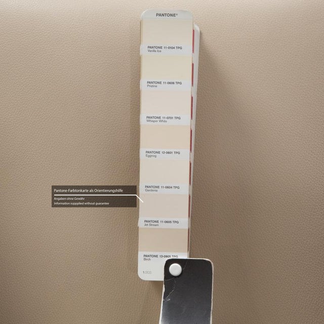 FSM Sesame Leather Armchair For Sale - Image 5 of 11