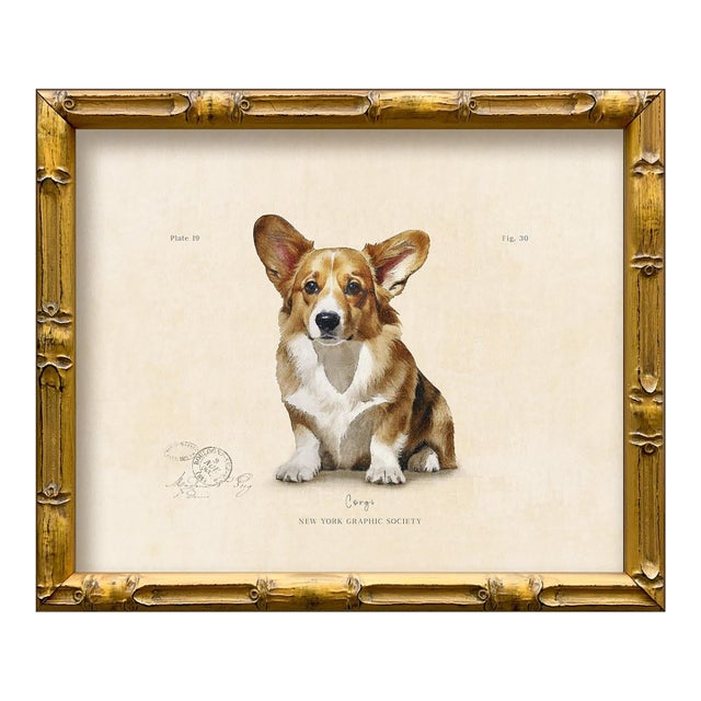 Reproduction Art Print of Vintage "World of Dogs" Illustration (Corgi), Framed For Sale