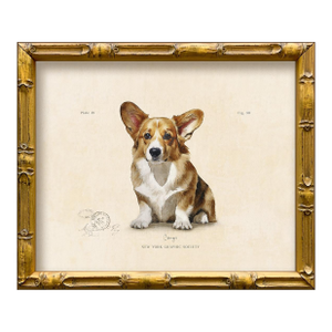Reproduction Art Print of Vintage "World of Dogs" Illustration (Corgi), Framed