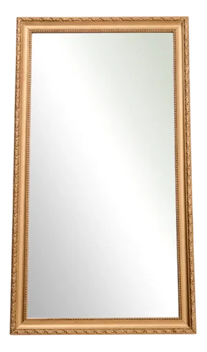 Rectangular Mirror with Gold Frame