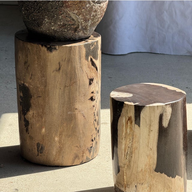 Small Side Table in Black and White Petrified Wood, 1980s For Sale - Image 18 of 18