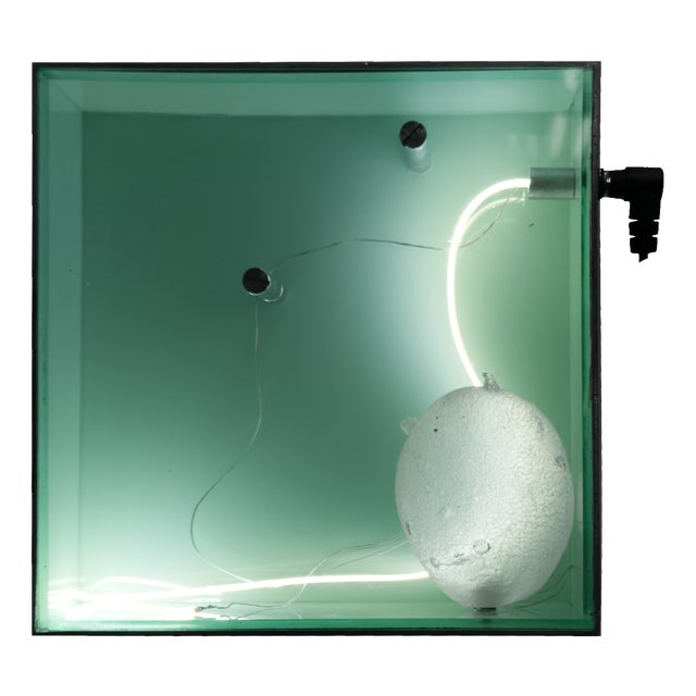Light Object Transfiguration Light by Joachim Ramin for Early Light For Sale