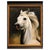 2000 - 2009 Mexican School, Classical Horse, Oil Painting on Canvas For Sale - Image 5 of 5