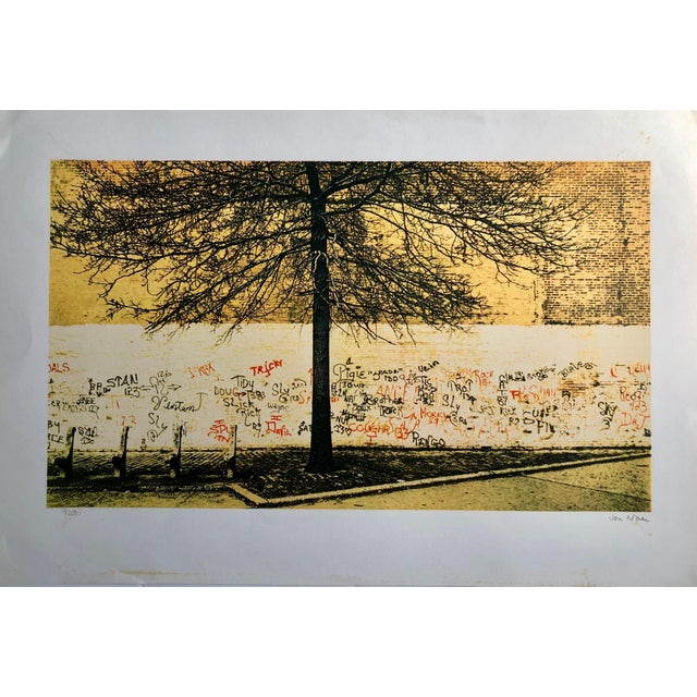 1970s Jon Naar, Graffiti Art Photograph Silkscreen Print Park New York City 1970s Pop Art, 1974 For Sale - Image 5 of 7