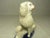 Antique Staffordshire poodle group, c.1880 An unusual form with an adult with two pups seated on a deep blue base. With...