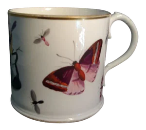 Early 19th Century English Regency Coalport Porcelain Ornithological Butterfly, Insect & Bird Mug
