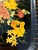 Gold Large Black Papier-Mâché Tray, France, 1970 For Sale - Image 8 of 10