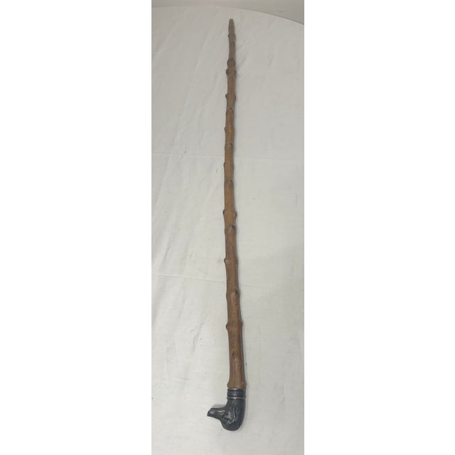 Antique 19th Century Handmade 800 Sterling Silver Wood Dog Walking Stick Cane For Sale - Image 13 of 18