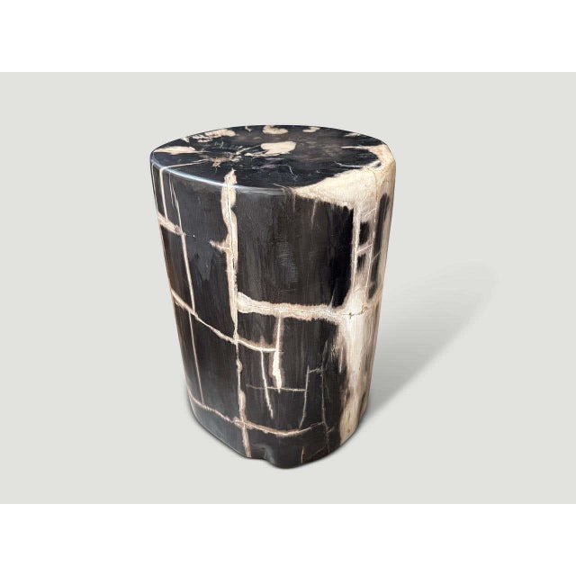 2010s Andrianna Shamaris Exquisite Ancient Petrified Wood Side Table For Sale - Image 5 of 8