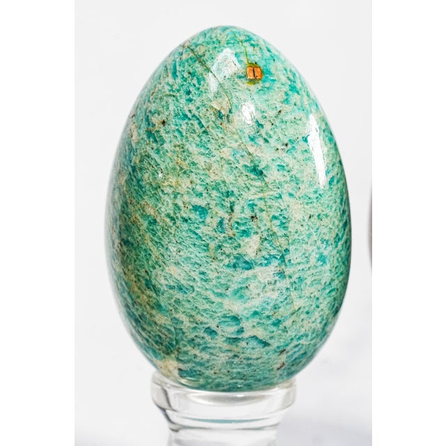 Collection Vintage Stone Specimen Egg 9 Polished Gemstone Eggs Display Stands Geological Mineral Display Cabinet of Curiosities Home Decor For Sale - Image 9 of 18