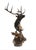 James Stafford "Flight" Bronze Elk Sculpture For Sale - Image 9 of 11