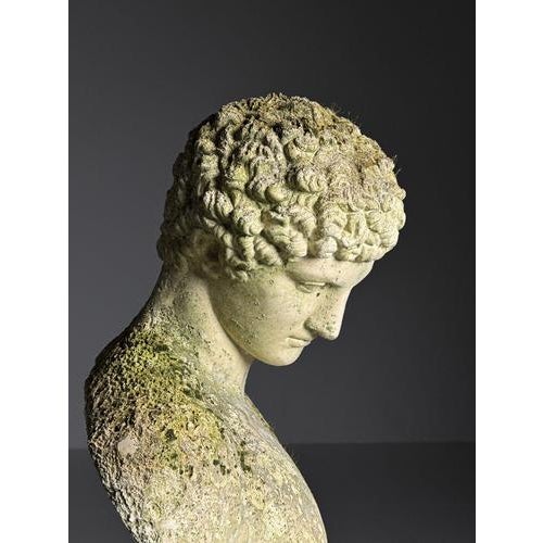 Bust of Hermes in Plaster For Sale - Image 9 of 18