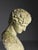 Bust of Hermes in Plaster For Sale - Image 9 of 18