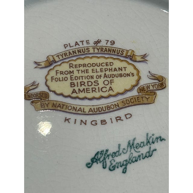 Illustration Vintage Alfred Meakin Audubon Birds of America Dinnerware Service for Eight — 32 Pieces For Sale - Image 3 of 12